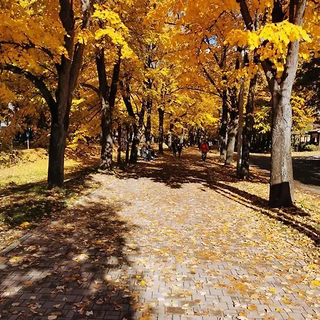 Ornament Lux Врнячка-Баня