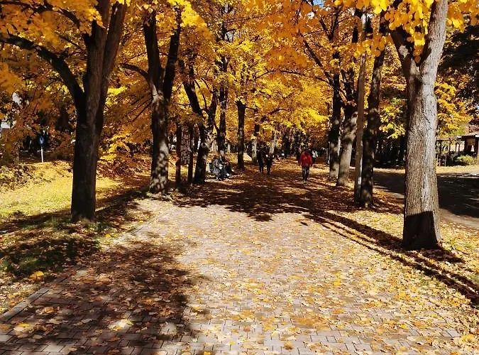 Ornament Lux Vrnjačka Banja