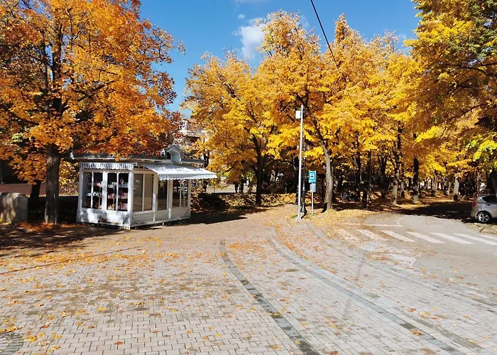 アパート Ornament Lux Vrnjačka Banja